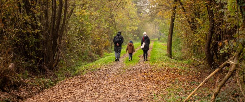 Family walking on a scenic autumn forest path in rural Croatia.